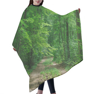 Personality  Path In Green Beautiful Forest In Wurzburg, Germany Hair Cutting Cape
