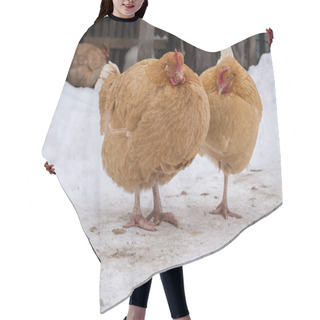 Personality  Hens In The Backyard In A Sunny Day Hair Cutting Cape