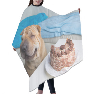 Personality  Sharpei Dog With Cake Hair Cutting Cape