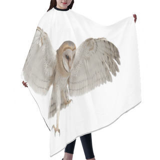 Personality  Barn Owl, Tyto Alba, 4 Months Old, Flying Against White Background Hair Cutting Cape