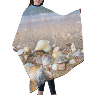 Personality  Shells On The Beach Hair Cutting Cape