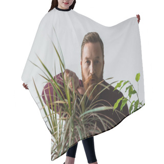 Personality  Stylish Man In Jumper Touching Leaves Of Tropical Plant Isolated On Grey  Hair Cutting Cape