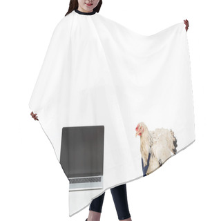 Personality  Chicken Near Laptop With Blank Screen Isolated On White Hair Cutting Cape