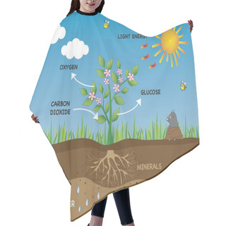 Personality  Photosynthesis Hair Cutting Cape