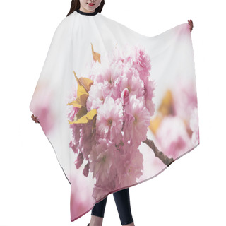 Personality  Pink Cherry Blossoms Hair Cutting Cape