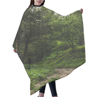 Personality  Rural Pathway In Beautiful Green Forest On Hill Hair Cutting Cape