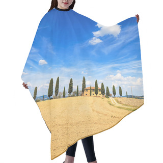 Personality  Tuscany, Farmland, Cypress Trees And White Road. Siena, Val D Or Hair Cutting Cape