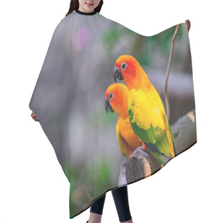 Personality  Colorful Pair Lovebirds Parrots On Branch.  Hair Cutting Cape