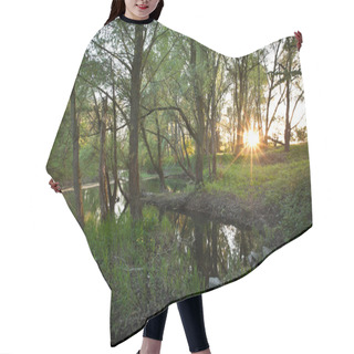 Personality  Beautiful Riparian Forest Scenery On A Lovely Summer Evening Hair Cutting Cape