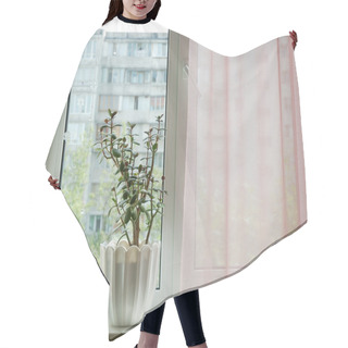 Personality  Window With Flowerpot Hair Cutting Cape