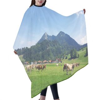 Personality  Allgau Cows On Pasture Bavaria In Summer Hair Cutting Cape