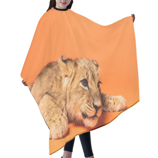 Personality  Cute Lion Cub Lying On Orange Background Hair Cutting Cape