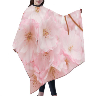 Personality  Sakura Flower Bloom Hair Cutting Cape