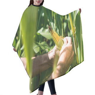 Personality  Cropped View Of Farmer Touching Corn Near Green Leaves  Hair Cutting Cape