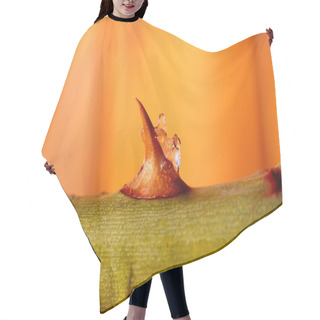 Personality  Rose Thorn Hair Cutting Cape