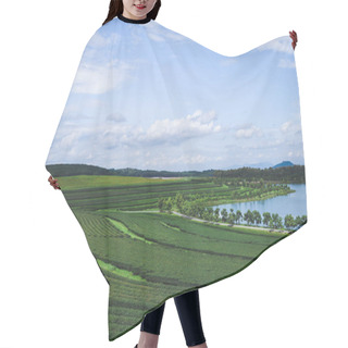 Personality  Aerial View Of Green Tea Plantation And Lake On Sunny Day Hair Cutting Cape