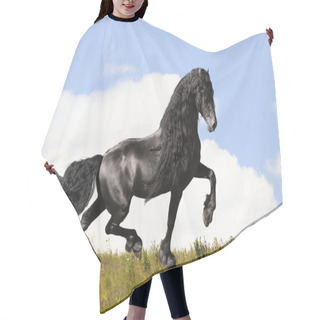 Personality  Black Friesian Horse On The Meadow Hair Cutting Cape