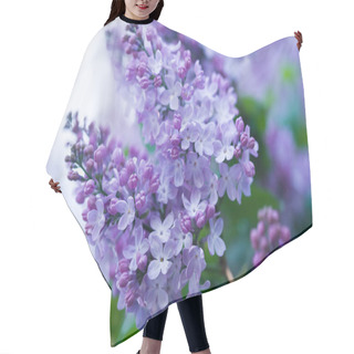 Personality  Bunch Of Violet Lilac Flower Hair Cutting Cape