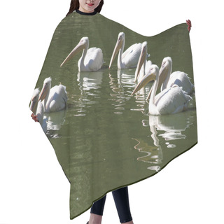 Personality  Pelican Covey In Lake Waters Hair Cutting Cape