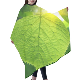 Personality  Green Leaf And Sunlight Hair Cutting Cape
