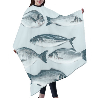 Personality  Top View Of Various Uncooked Sea Fish Isolated On Grey   Hair Cutting Cape