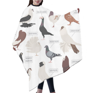 Personality  Poultry Farming. Pigeon Breeds Icon Set. Flat Design Hair Cutting Cape