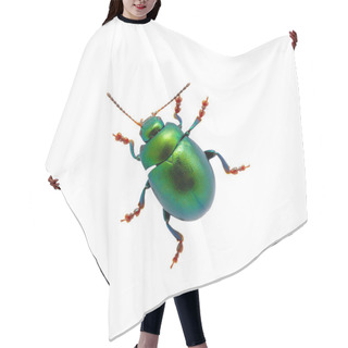 Personality  Green Beetle Hair Cutting Cape