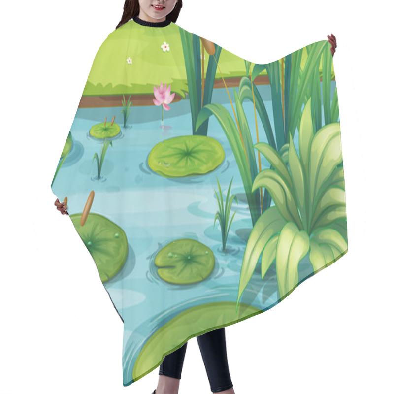 Personality  A pond with many plants hair cutting cape