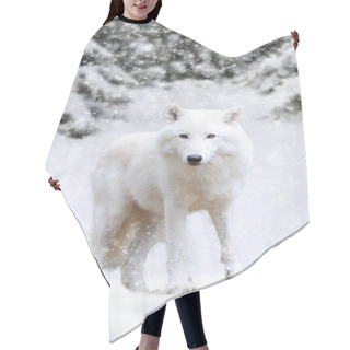 Personality  Arctic Wolf Winter In Nature Hair Cutting Cape