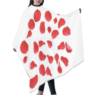 Personality  Abstract Of Red Rose Petals Isolated On A White Background. Hair Cutting Cape