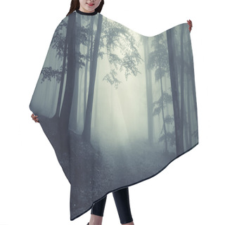 Personality  Path Trough A Dark Mysterious Forest With Fog Hair Cutting Cape