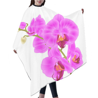 Personality  Branch Orchids Purple Flowers  Tropical Plant Phalaenopsis  On A White Background  Vintage Vector Botanical Illustration For Design Hand Draw  Hair Cutting Cape