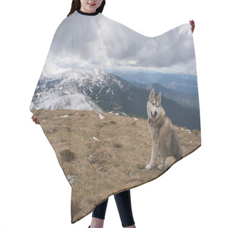 Personality  Husky Dog Hair Cutting Cape
