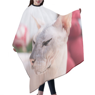 Personality  Don Sphynx Cat Hair Cutting Cape