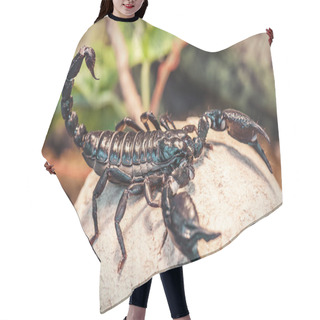 Personality  Live Black Scorpion Hair Cutting Cape