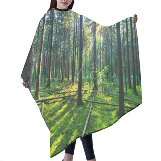Personality  Fairytale Forest - Natural Spruce Woodland Hair Cutting Cape