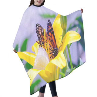 Personality  A Monarch Butterfly Shares A Flower With A Small White Butterfly In This Colorful Garden Hair Cutting Cape