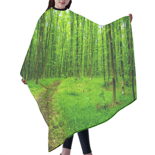 Personality  Green Forest Background In A Sunny Day Hair Cutting Cape