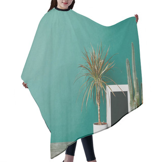 Personality  Two Plant In Flowepots And White Empty Photo Frame On Green Background Hair Cutting Cape