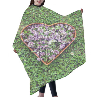 Personality  Medical Herb Oregano Wild Marjoram Flowers In Heart Form Basket Hair Cutting Cape