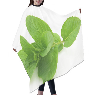 Personality  Mint Hair Cutting Cape