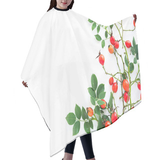 Personality  Dog Rose Hips On White Background Hair Cutting Cape