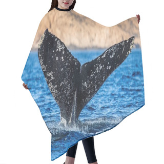 Personality  Tail Of Humpback Whale Hair Cutting Cape