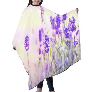 Personality  Lavender Field Hair Cutting Cape