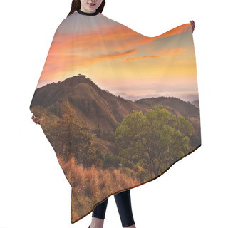 Personality  Monteverde Cloud Forest Reserve Hair Cutting Cape