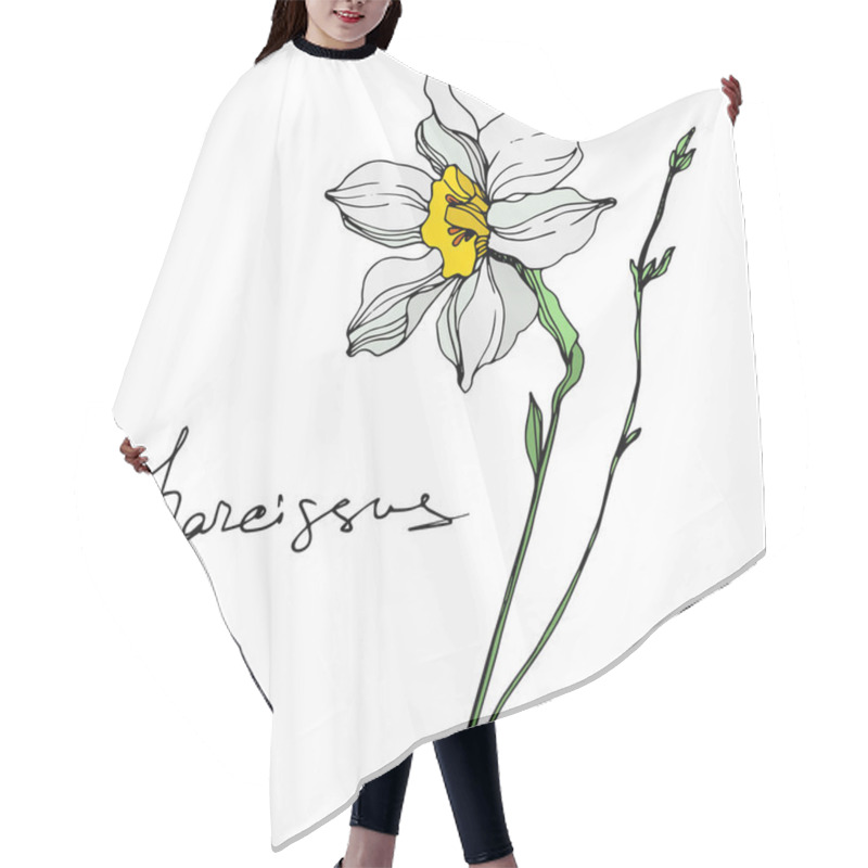 Personality  Vector narcissus flower illustration element on white background with lettering hair cutting cape