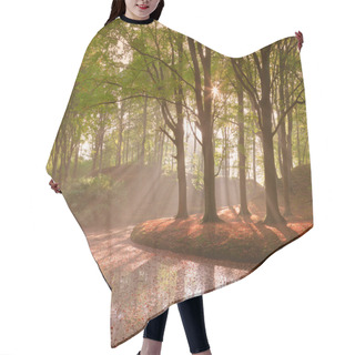 Personality  Forest In Autumn With Pond And Mist With Sunrays. Hair Cutting Cape