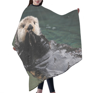 Personality  Otter Greeting Hair Cutting Cape