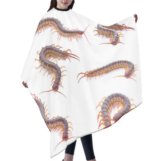 Personality  Set Of Centipede On White Background Hair Cutting Cape