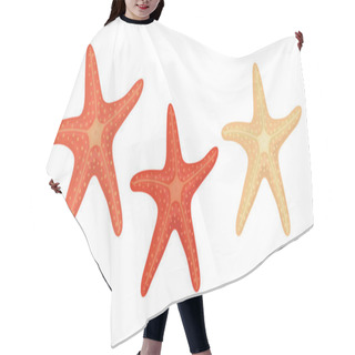Personality  Starfish In Cartoon Style: Print Summer Design Element Pattern On White Background Hair Cutting Cape